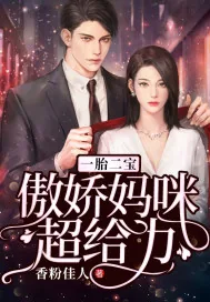 《一胎二宝：傲娇妈咪超给力》小说封面