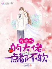 《吃软饭的大佬一点都不软》小说封面