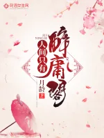 《妖王被人拐跑啦》小说封面