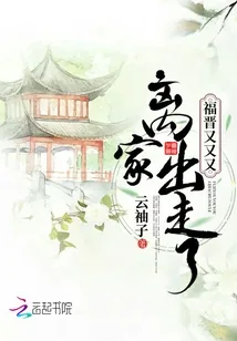 《福晋又又又离家出走了》小说封面