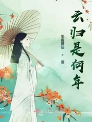 《云归是何年》小说封面