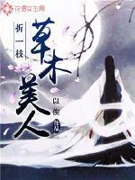 《折一枝草木美人》小说封面