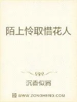 《陌上怜取惜花人》小说封面
