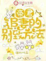 《帝君追妻的别致方法》小说封面