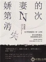 《娇妻的第N次消失》小说封面