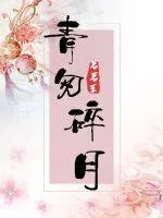 《青匆碎月》小说封面