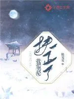 《我把男配扶正了》小说封面
