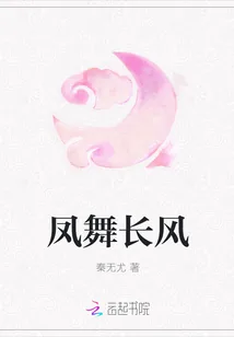 《凤舞长风》小说封面