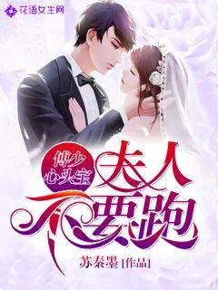 《傅少心头宝：夫人不要跑》小说封面