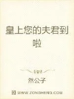 《皇上您的夫君到啦》小说封面