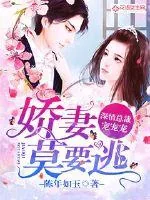 《爱妻莫要逃：深情总裁宠宠宠》小说封面