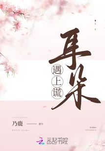 《耳朵遇上谎》小说封面