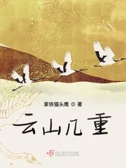 《云山几重》小说封面