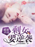 《婚来不易：剩女要逆袭》小说封面