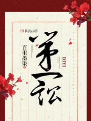 《第一讼》小说封面