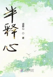 《半释心》小说封面