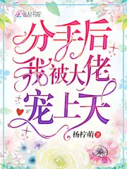 《分手后我被大佬宠上天》小说封面