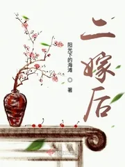 《二嫁后》小说封面