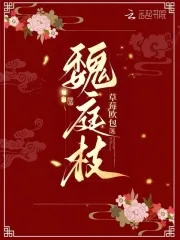 《魏庭枝》小说封面