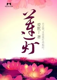 《莲灯》小说封面