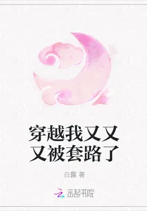 《穿越我又又又被套路了》小说封面