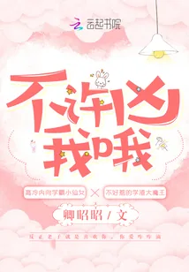 《不许凶我哦》小说封面