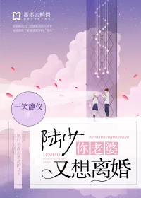 《陆少，你老婆又想离婚》小说封面