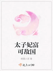 《太子妃富可敌国》小说封面