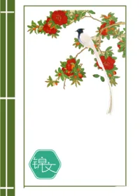 《白菜杀手》小说封面
