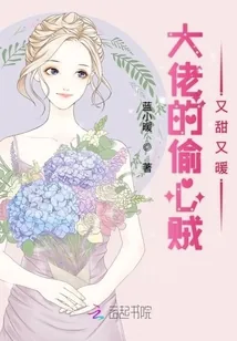 《大佬的偷心贼又甜又暖》小说封面