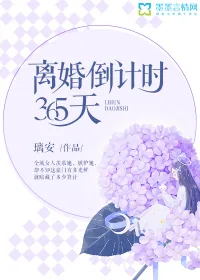 《离婚倒计时：365天》小说封面
