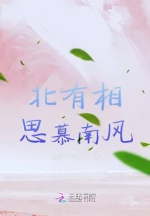 《北有相思慕南风》小说封面