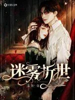《迷雾折世》小说封面