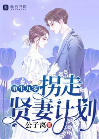 《重生九零,拐走贤妻计划》小说封面