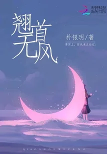 《翘首无风》小说封面