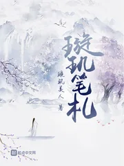 《璇玑笔札》小说封面
