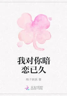 《我对你暗恋已久》小说封面