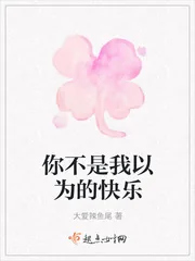 《你不是我以为的快乐》小说封面