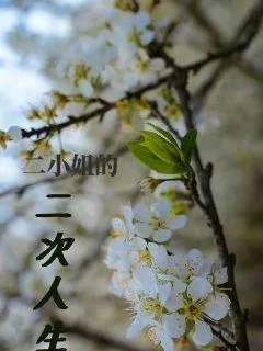 《医妻难求:世子娶亲吗》小说封面