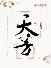 《天芳》小说封面