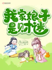 《我家娘子是财迷》小说封面