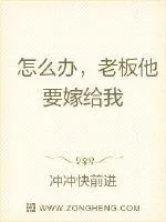 《怎么办,老板他要嫁给我》小说封面