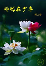 《玲珑在少年》小说封面