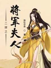 《二嫁之将军夫人》小说封面