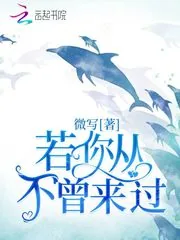 《若你从不曾来过》小说封面