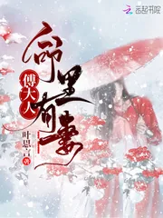 《傅大人命里有妻》小说封面