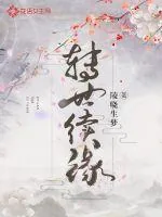 《转世续缘》小说封面