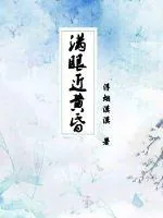《满眼近黄昏》小说封面