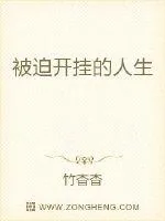 《被迫开挂的人生》小说封面