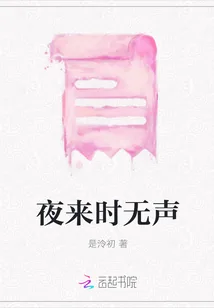《夜来时无声》小说封面